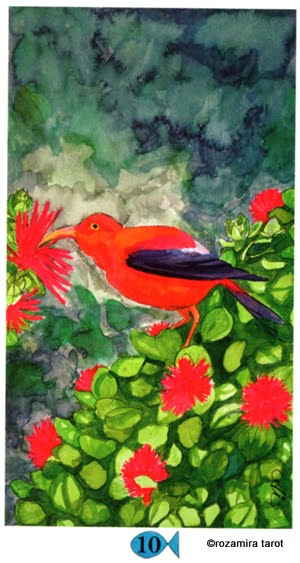 Hawaiian Aloha Tarot